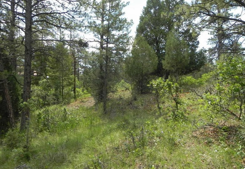 8160 Bannock Dr